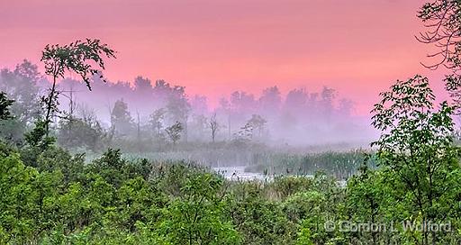 Foggy Wetland At Sunrise_P1140618-20.jpg - Photographed near Jasper, Ontario, Canada.